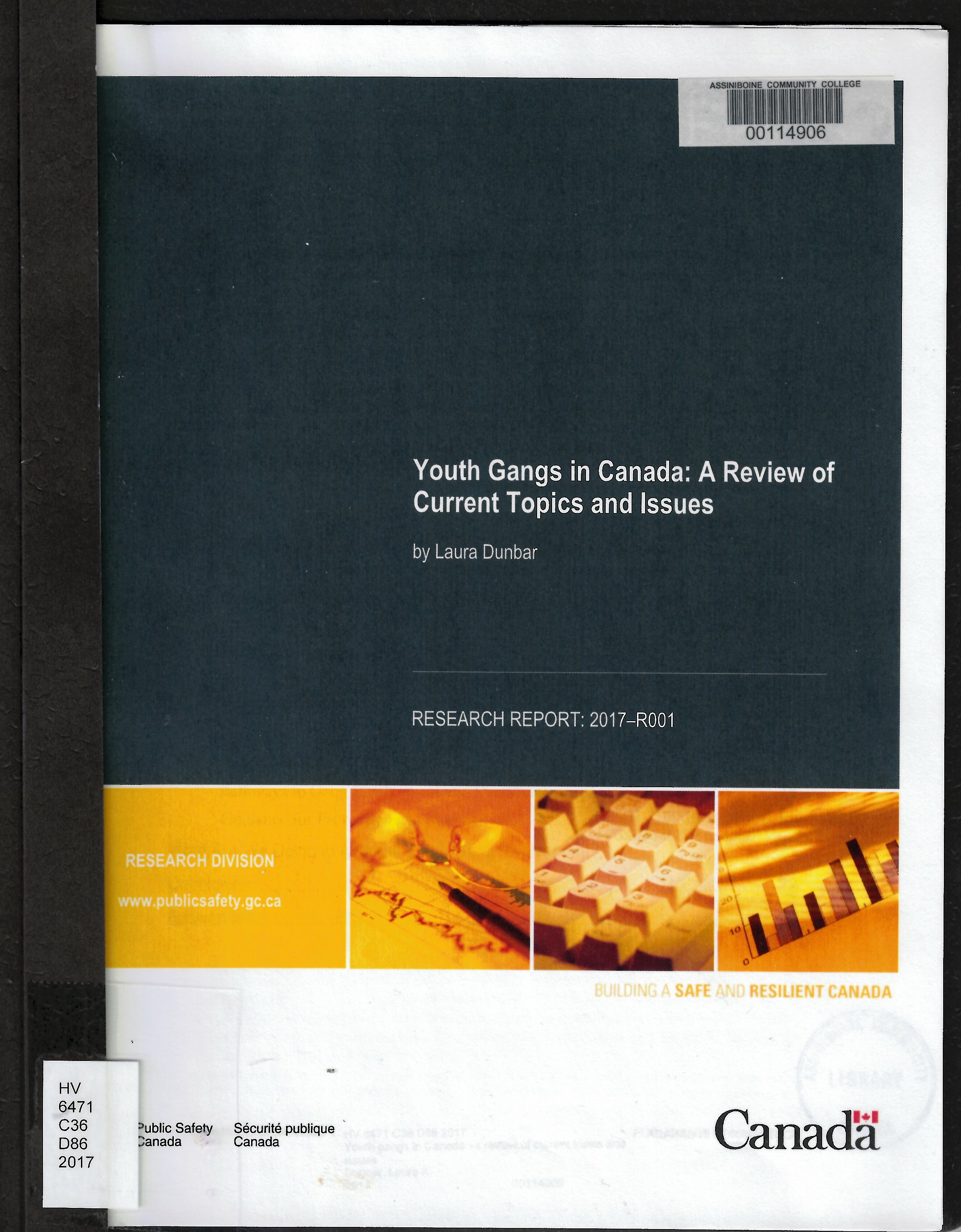 Youth gangs in Canada : a review of current topics and issues
