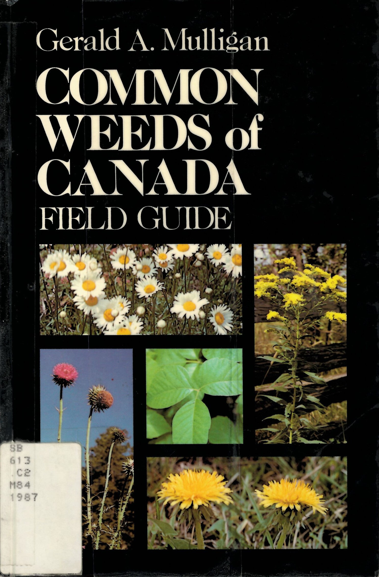 Common weeds of Canada: : field guide /