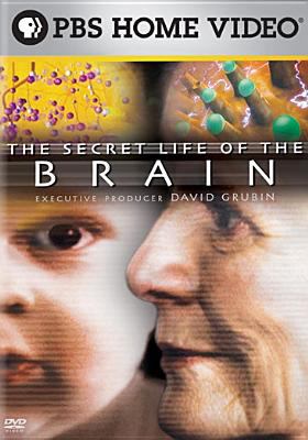 The secret life of the brain