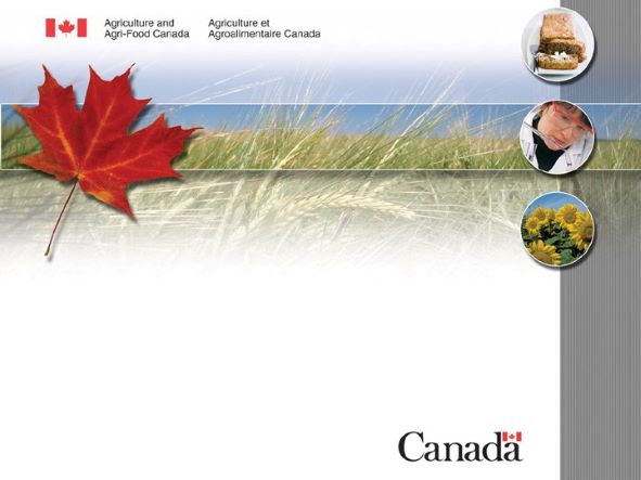 Canada : Outlook for principal field crops