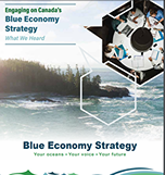 Engaging on Canada's blue economy strategy : what we heard.