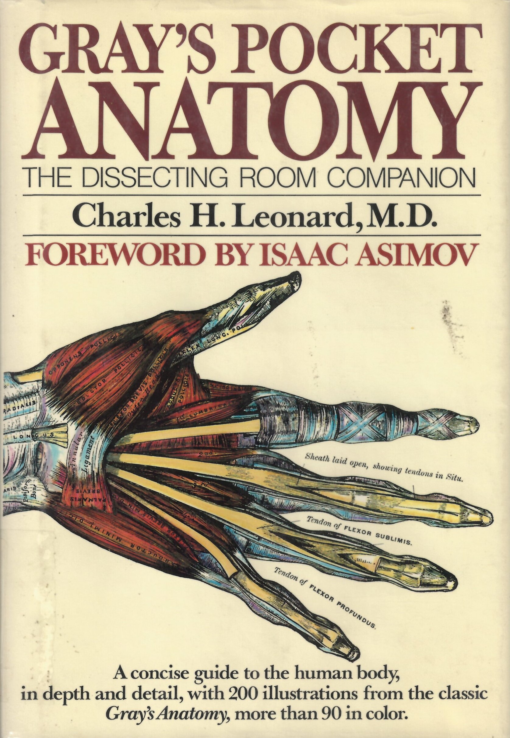 Gray's pocket anatomy : the dissecting room companion