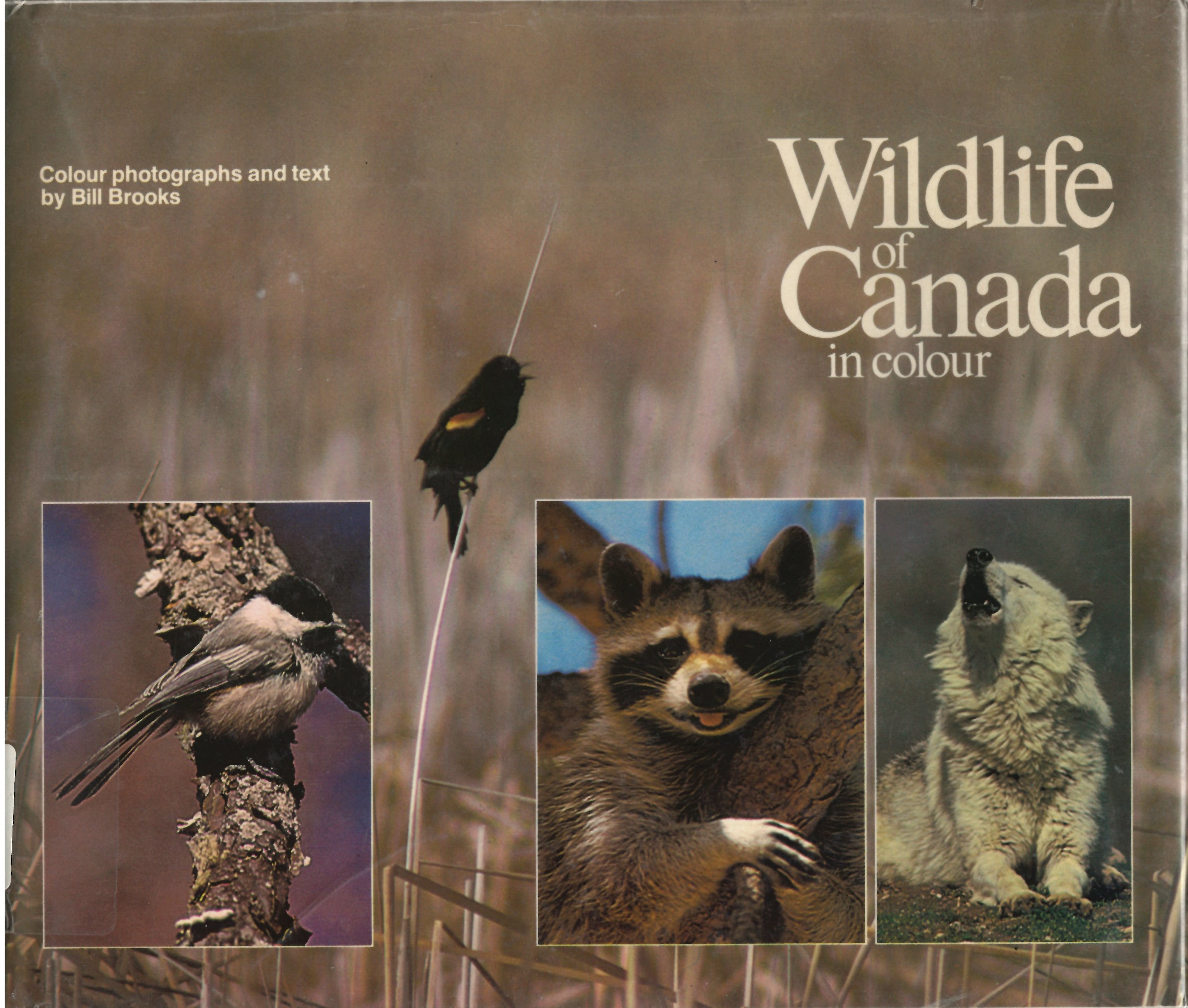 Wildlife of Canada