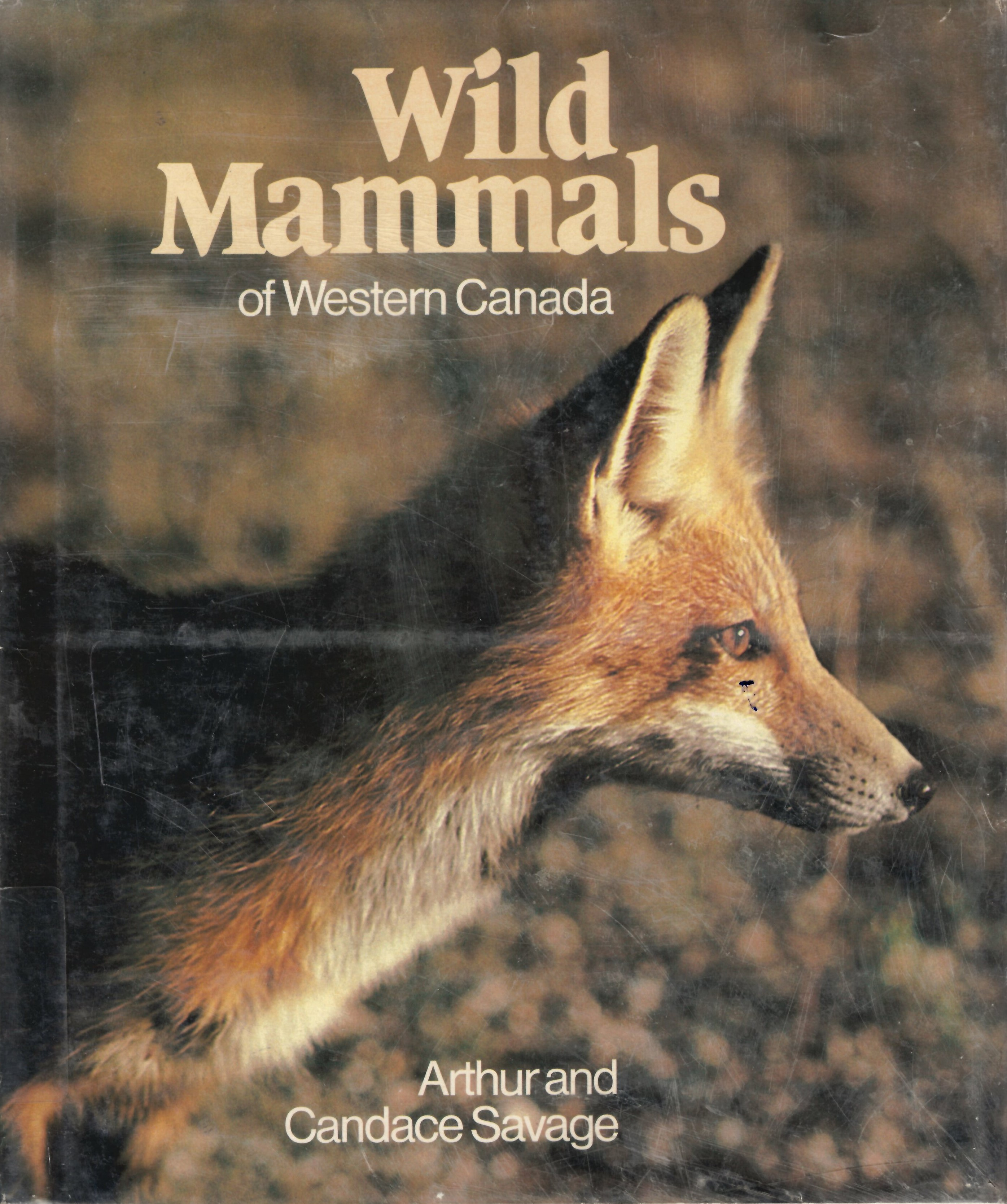 Wild mammals of Western Canada