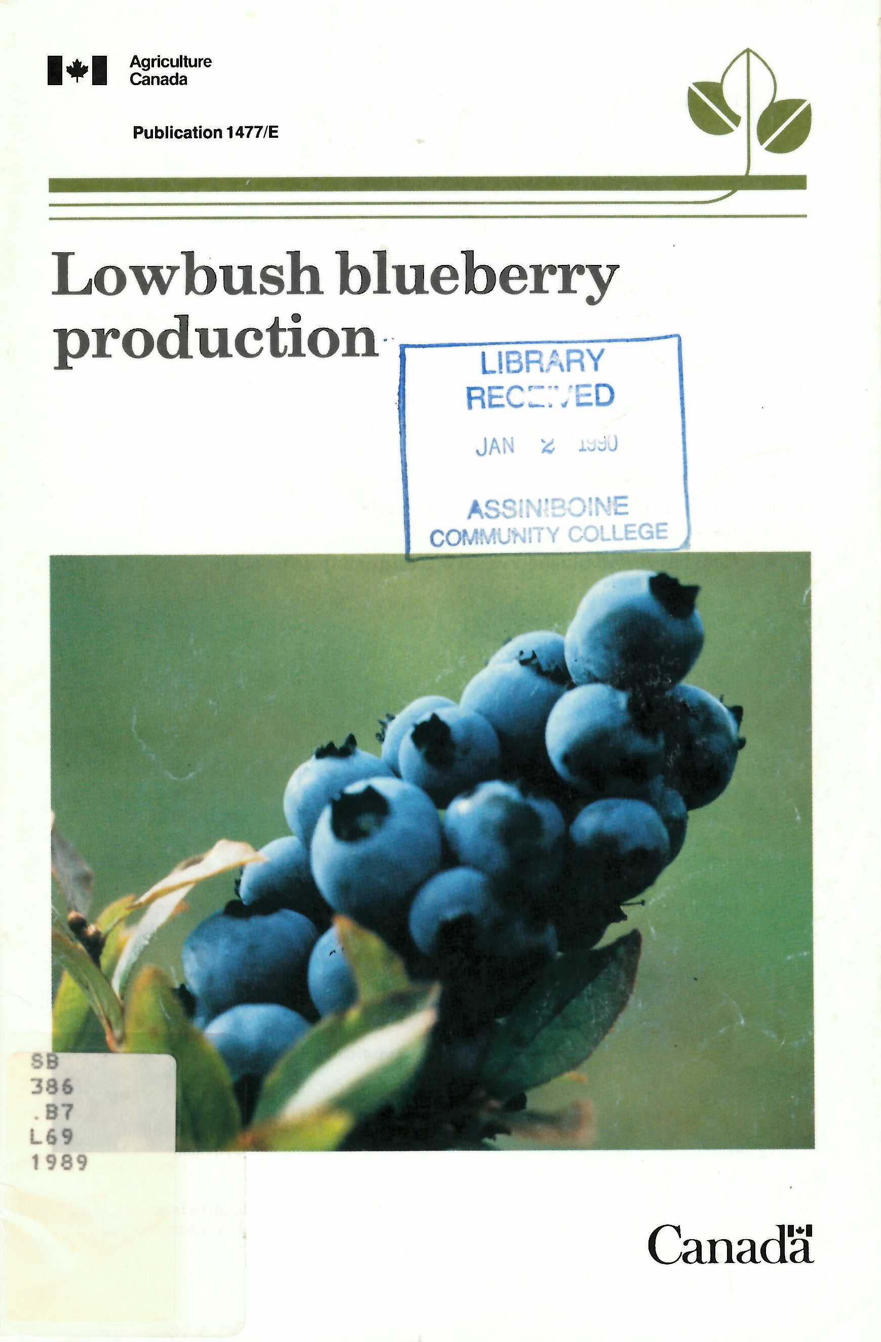 Lowbush blueberry production